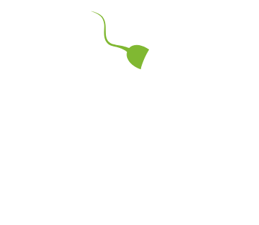 Logo Ingenes-1